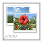 20080709080606_435.jpg