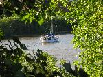 20080709080606_435.jpg