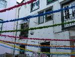 20080709190316_983.jpg