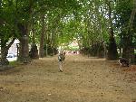 20080711105030_292.jpg