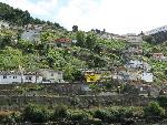 20080711162121_817.jpg