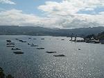 20080712102751_789.jpg