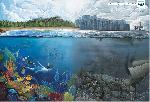 central_pollution_control_board_diver.jpg