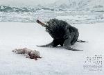 dont treat others the way you dont want to be treated - blame canada.jpg