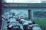 good-morning-lemmings.jpg