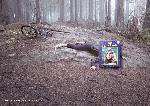 o_protect-your-head-2-gr.jpg