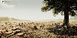 o_wwf-forests-for-life-gr.jpg