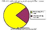 pacmannm.jpg