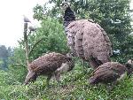 20080815170058_030.jpg