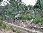 20080815170451_032.jpg