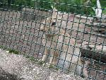 20080815170538_035.jpg