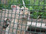 20080815170548_037.jpg