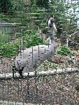 20080815170617_038.jpg
