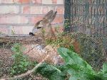 20080815171629_048.jpg