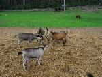 20080815172713_058.jpg