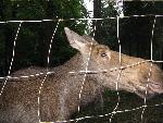 20080815175427_066.jpg