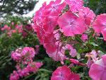 20080815183105_072.jpg
