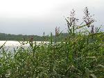 20080815183921_094.jpg