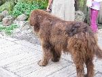 20080815184747_101.jpg