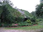 20080815185821_108.jpg