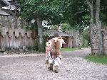 20080815185829_109.jpg