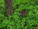 20080816113730_080.jpg