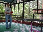20080816132646_151.jpg
