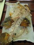 20080816161456_087.jpg