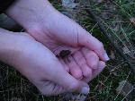20080816171932_177.jpg